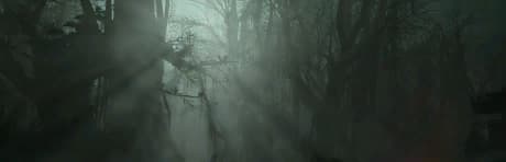 Squelching mud, twisting roots; the odor of rot and anarchy. A teeming, endless morass.