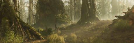 Tall, gnarled trees flourish across the surface of this forested world. Sunlight filters past dangling vines, to the saturated undergrowth below.